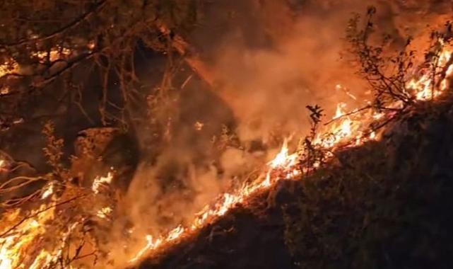 Eskişehir'de Orman Yangını: Bir Köy Boşaltıldı