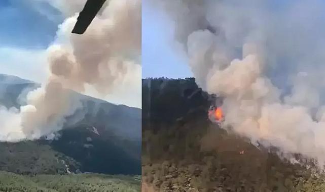 Eskişehir’de orman yangını! Müdür alevlerin içinde kaldı