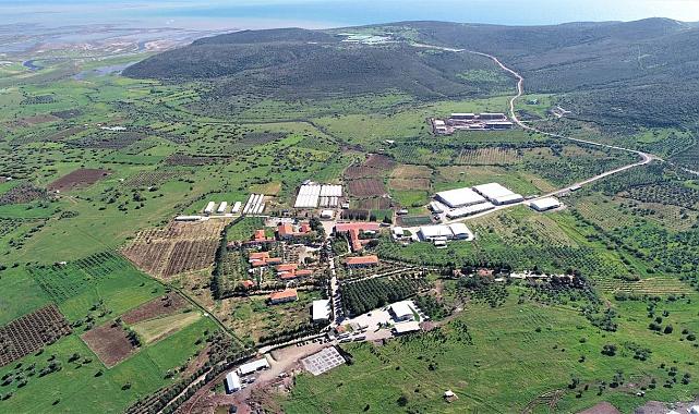 Foça Cezaevi tavukçuluk tesisinde kapasite genişliyor