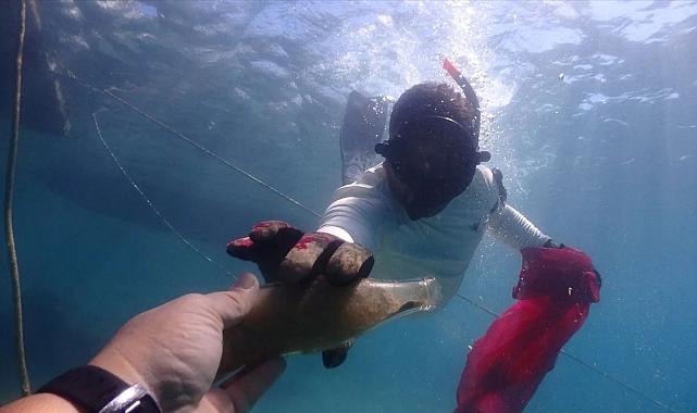 Gönüllü dalgıçlar Bodrum’da denizi 98 kilo atıktan arındırdı