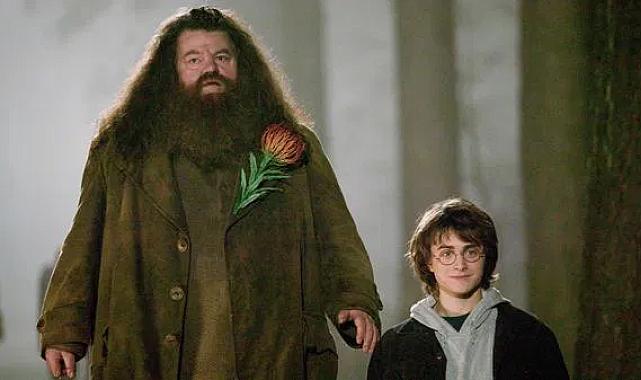 HBO'nun Harry Potter dizisinden ilk Hagrid görseli
