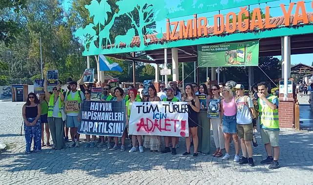 İzmir’de aslan ölümleri: Hayvanat bahçeleri derhal kapatılmalı