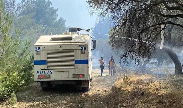 İzmir’de kaplumbağaları vatandaşlar kurtardı