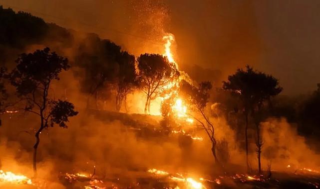 İzmir’de orman yangınları sonrası genel hayat etkili afet bölgesi kararı