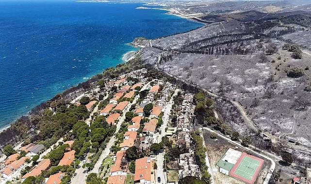 İzmir'de orman yangınlarında rekor kayıp