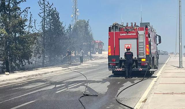 İzmir’deki orman yangını yerleşim alanına ulaşmadan durduruldu