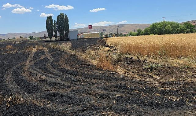 Karakoçan'da yangın: Hasat öncesi tarla yandı