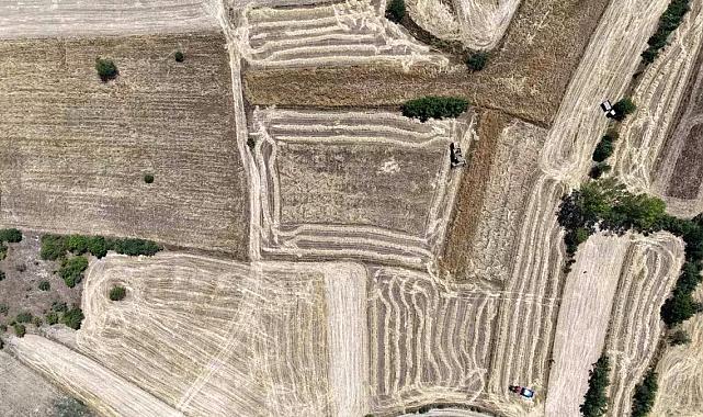 Kastamonu’da siyez buğdayı hasadı başladı