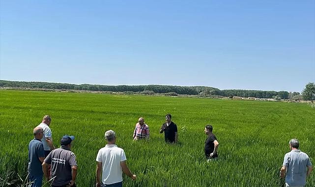 Kaymakam Sevgili'den Meriç Nehri'nde su denetimi