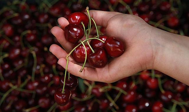 Kiraz fiyatı el yakıyor: Bir tanesi 8 lira 40 kuruş