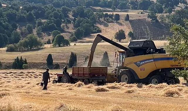 Kütahya çiftçileri hasatla bereketli günler yaşıyor