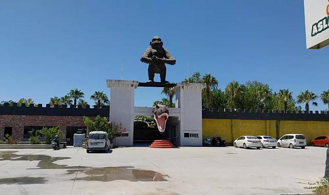 Manavgat’taki aslan saldırısında mucize kurtuluş