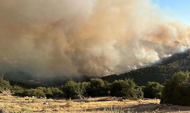 Manisa’da makilik yangını Uşak sınırına dayandı