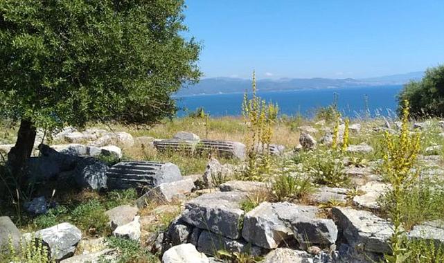 Notion Antik Kenti: İzmir’in Hellenistik Dönem Hazinesi