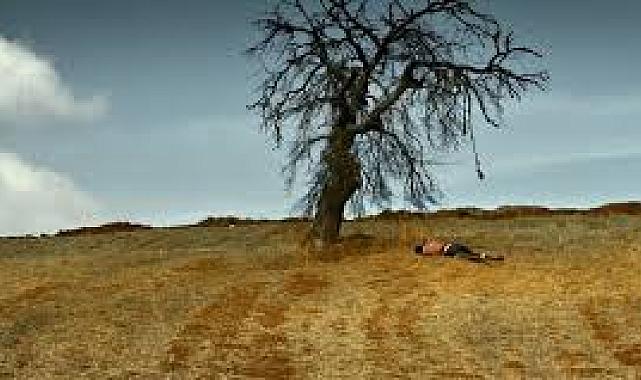 Nuri Bilge Ceylan’a izinsiz metin kullanımı nedeniyle şok