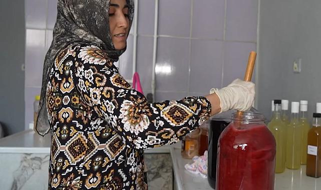 Organik meyvelerden hazırlanan sirkeler sofralara geliyor