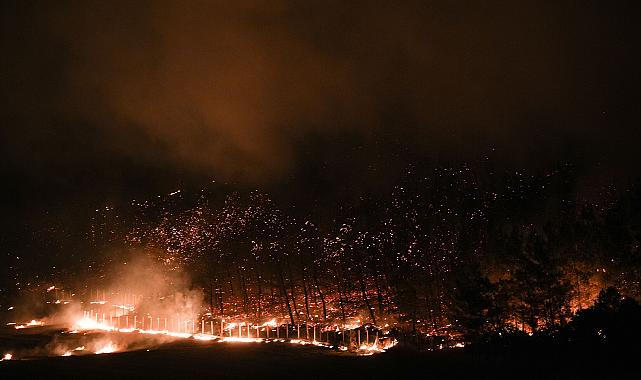 Orman yangınlarına 12 milyon TL acil destek sağlandı