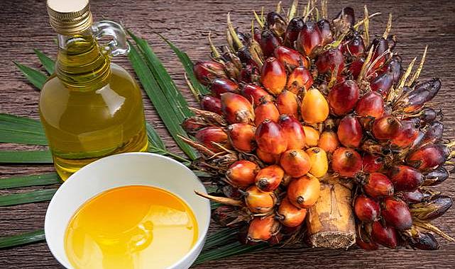 Palm Yağı Hakkında Bilimsel 10 Gerçek