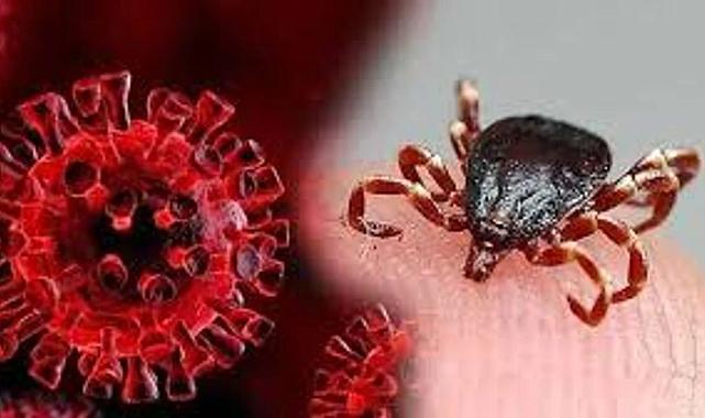 Prof. Dr. Çetin: “Zararsız kene yoktur”