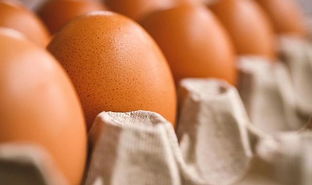Resmi Gazete’de yayımlandı: Yumurta ihracatına düzenleme