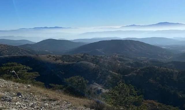 Rüzgar santrali için 4 bin ağaç kesilecek