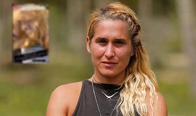 Sabah yürüyüşü kabusa döndü: Sema Aydemir’in ailesine saldırı