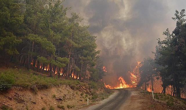 Sanayi Sitesi İçin Sabaha Kadar Nöbet: Esnaf Yangına Direndi