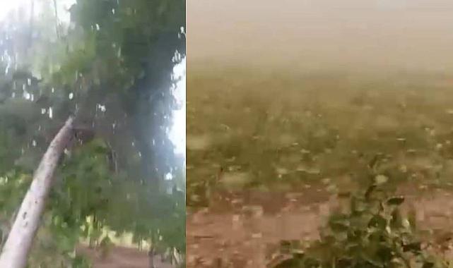 Şanlıurfa’da 50 derece yetmedi, bir de fırtına geldi