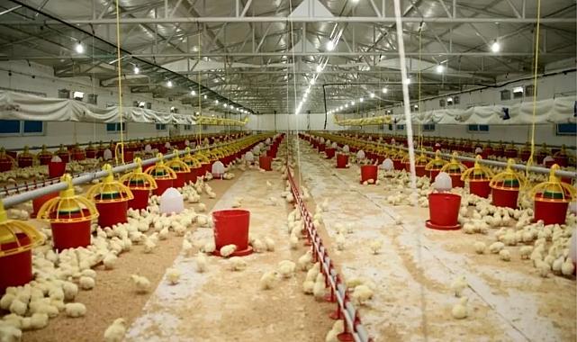 Şenpiliç, 4 Bin 200 Kişiye İstihdam Sağlıyor