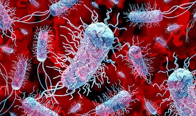 Süper böcek alarmı: Ölümler %60 artabilir