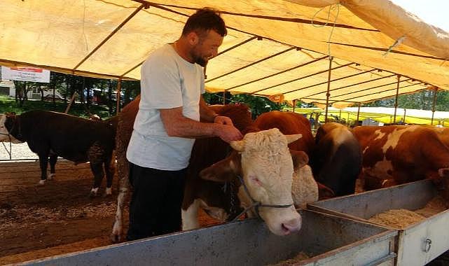 Tarım Bakanlığı'ndan acil yazı: Hayvan pazarları durduruldu