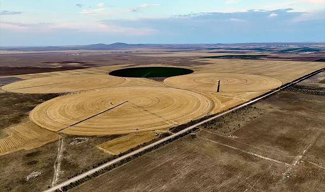 TİGEM’de hububat hasadı başarıyla tamamlandı
