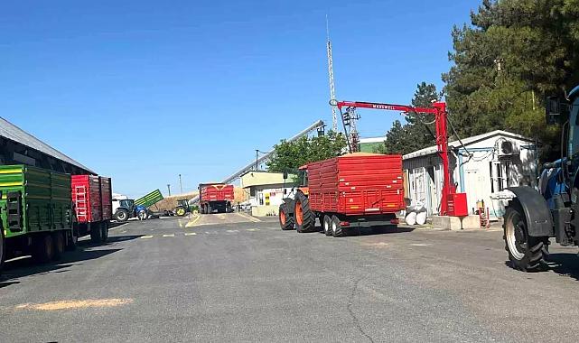 TMO buğday alım sezonuna randevulu sistemle başladı