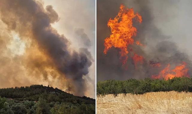 Türkiye Alev Alev: Tekirdağ, Manisa ve Çanakkale’de Yangın Alarmı