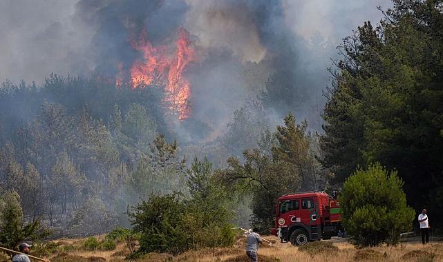 Yangın Felaketi Sonrası İzmir’de 252 Konut, 13 İş Yeri Yıkıldı