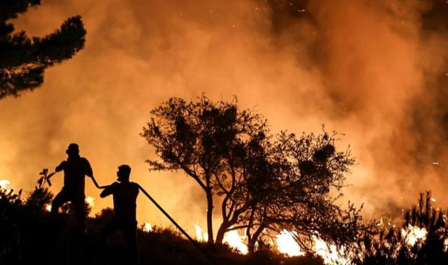 Yangınlara karşı Bolu’dan köklü önlem
