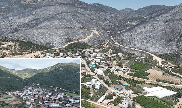 Yeşil Bursa'nın kalbi yandı: Gürsu küle döndü