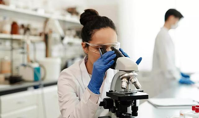 YÖK: 201 Üniversite Ulusal Hakemli Dergilerde Yayın Yaptı