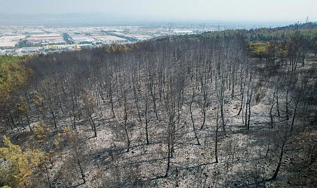 Yunusemre’deki yangında sabaha karşı kontrol sağlandı