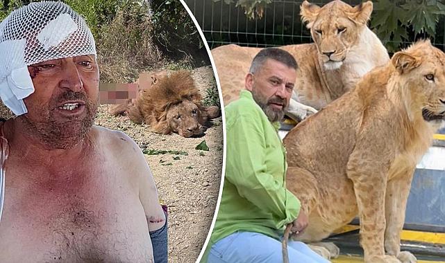 Zeus'un sahibi: Aslan sakin ve sosyal, saldırması şaşırttı