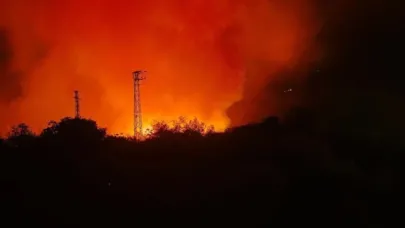 Çanakkale'deki yangın kontrol altına alındı