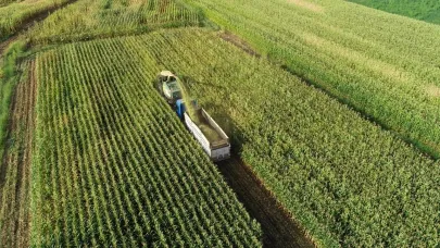 Temmuzda Tarım ÜFE yüzde 5,66 azaldı