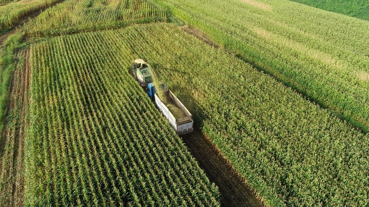 Temmuzda Tarım ÜFE yüzde 5,66 azaldı