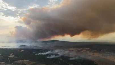 Çanakkale’de orman yangını kontrol altına alındı