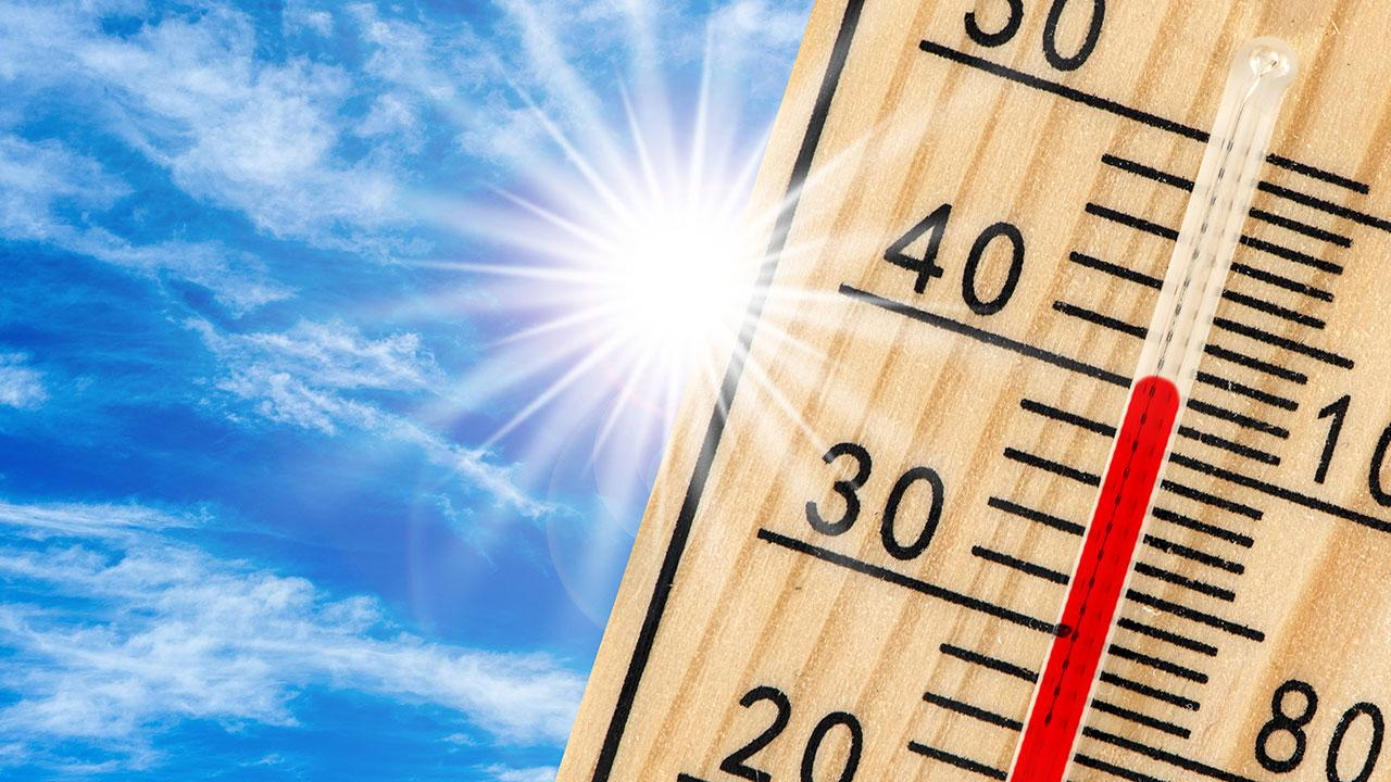 Türkiye’de aşırı sıcaklar tarım verimini düşürüyor