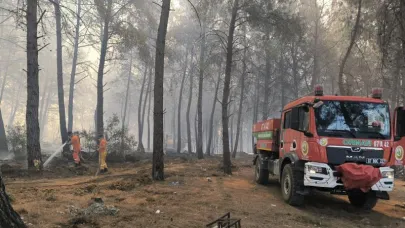 Mengen’de ormanlık alanda yangın paniği