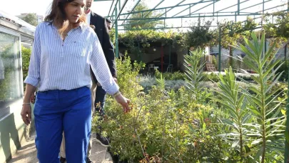 Karşıyaka’dan inşaatlara yeşil şart: Her daireye 2 fidan