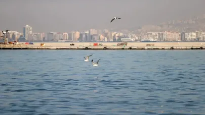 İzmir Körfezi’nde kötü koku yeniden gündemde