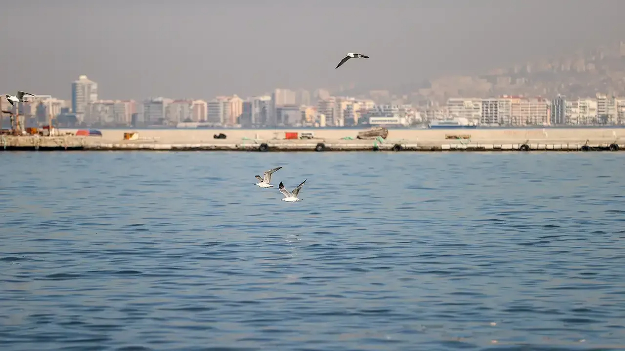 İzmir Körfezi’nde kötü koku yeniden gündemde