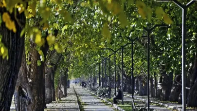 İzmir’de doğayla iç içe yürüyüş: Dutlu Yol